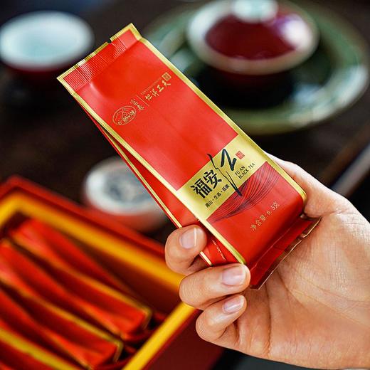 【福建农垦】富春福安红(6.5g*18泡) 商品图3