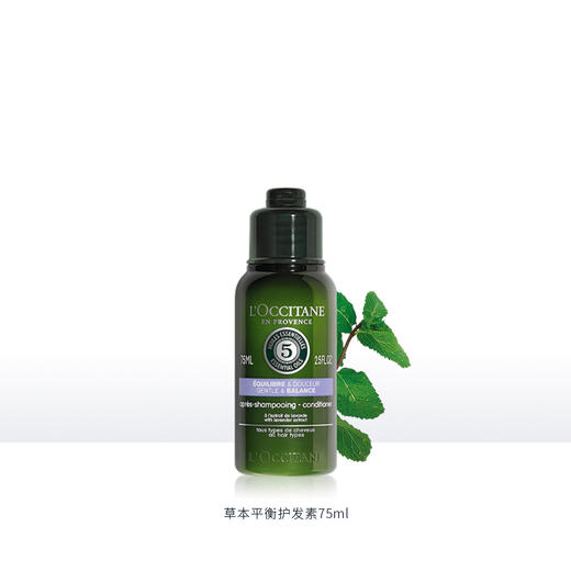 3253581768983 欧舒丹L'OCCITANE 草本平衡护发素 75ML 商品图0