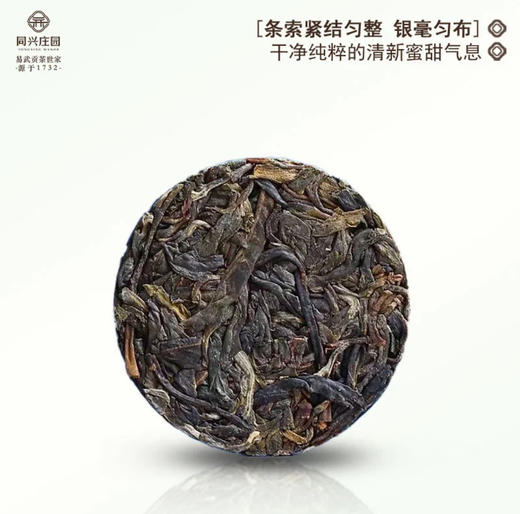 春尖礼盒装  168克/盒 7g/片 商品图3