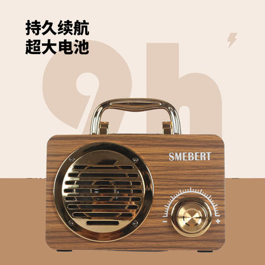 德国舒曼 FT-3001  蓝牙音响 商品图2