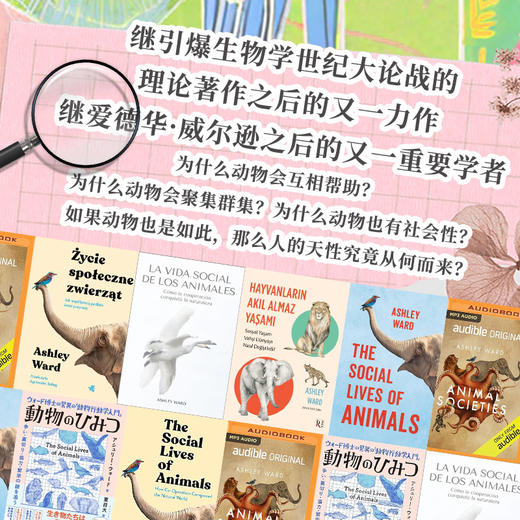 动物社会的生存哲学：探索冲突、背叛、合作和繁荣的奥秘 商品图4