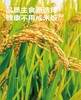 【三诺心选】低GI-金龙鱼丰益堂低GI米饭180g*6盒/10盒 商品缩略图2