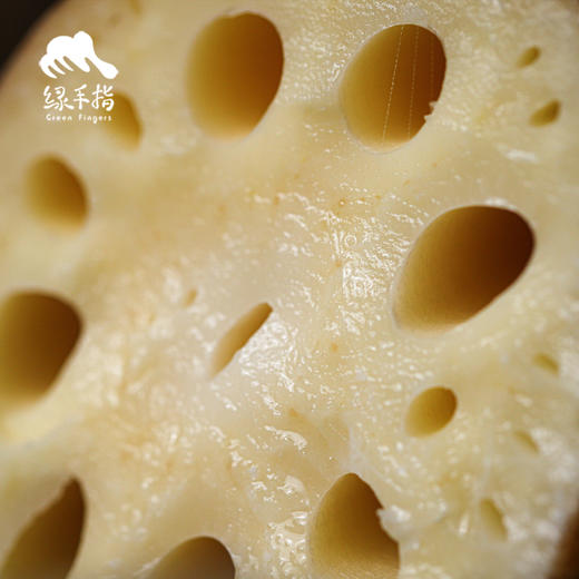 生态莲藕（脆藕/粉藕） | 合作生产 *Ecological lotus root | Partner Production 商品图2
