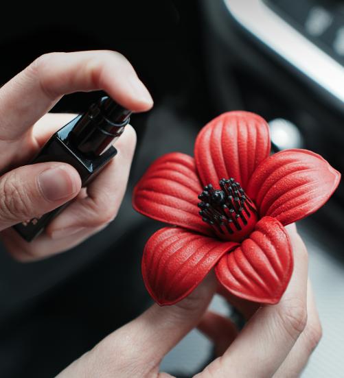 呈白 皮花香挂车载香薰系列 商品图3