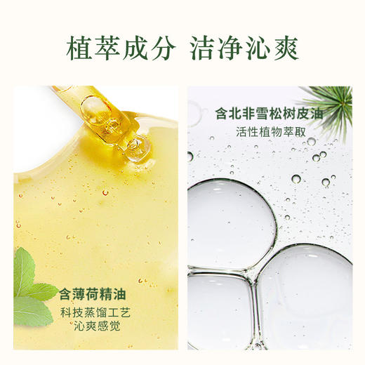 3253581768723 欧舒丹L'OCCITANE 【滋养柔顺】控油蓬松丰盈去屑草本护发素男女士防毛躁250ML 商品图1