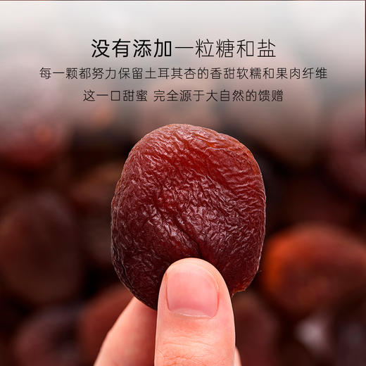 几分之几 土耳其无核杏干 100g*2 商品图3