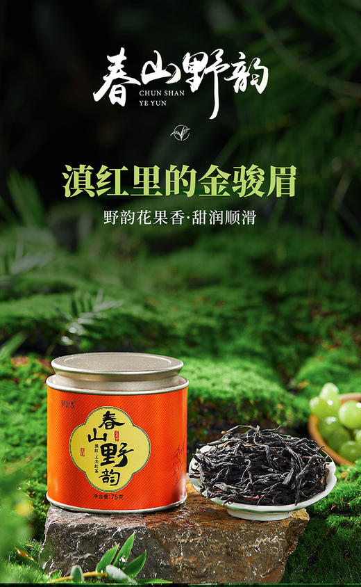 9月秒杀老茶头春山野韵竹里颂 商品图1