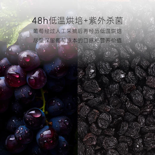 几分之几 夏黑葡萄干 125g*2 商品图2