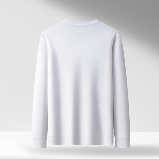 【100%棉】圣得西男圆领休闲卫衣2025秋季新款微落肩字母烫印上衣 商品图11