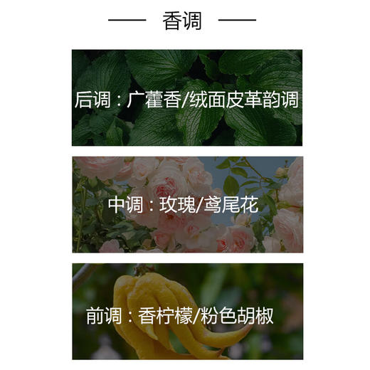 梵克雅宝非凡珍藏系列月光广藿香香水75ml 有效期至29-6 商品图3