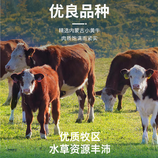 小肥羊+羔羊部落精选牛羊肉全家福套餐4340g【分仓直发，72小时发货，周末节假日不发货】 商品图2
