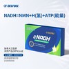 【KBHB专享-香港直邮】赛立复CELFULL 铂金版力活元 cNADH增强型 高效提升NAD+ 生物氢H 商品缩略图8