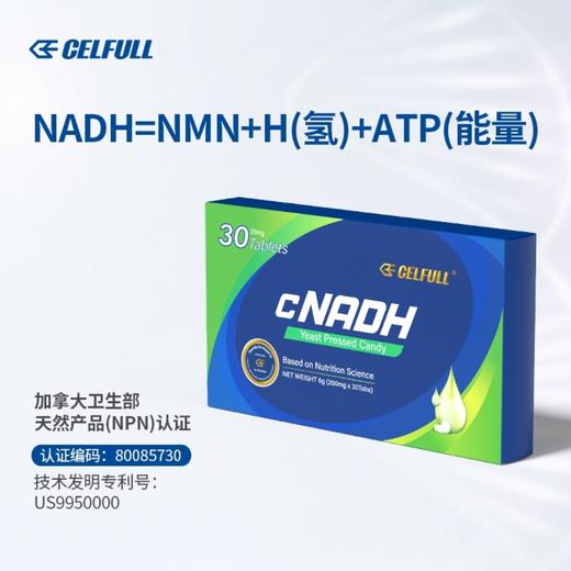 【KBHB专享-香港直邮】赛立复CELFULL 铂金版力活元 cNADH增强型 高效提升NAD+ 生物氢H 商品图8