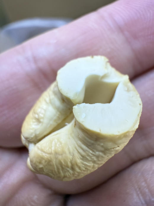 越南虎皮腰果，低卡路里，香味浓郁，爱不释口 商品图3