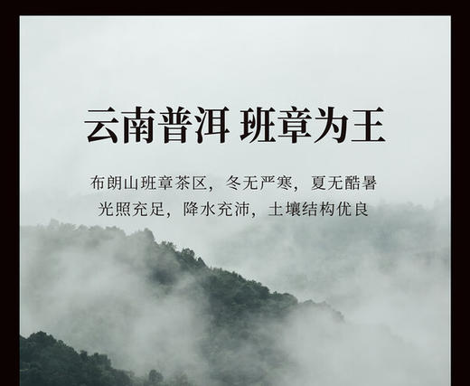 年迹·班章生态茶普洱茶（熟茶）2020焖泡装 商品图1