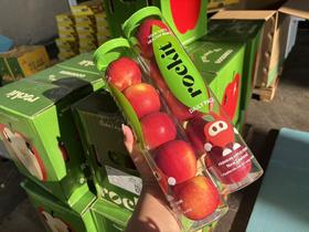 【进口】新西兰rockit火箭苹果＃465克规格，新西兰美味，一次一颗，脆甜多汁！