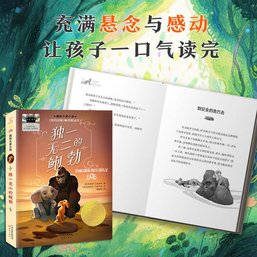 百班千人69期四年级阅读书目 独一无二的鲍勃   4年级课外书必读正版授权 商品图2