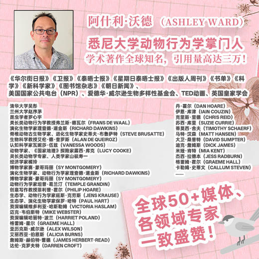 动物社会的生存哲学：探索冲突、背叛、合作和繁荣的奥秘 商品图2