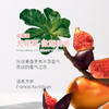 香邂格蕾香水（无花果香）30ml 有效期至27-11 商品缩略图4