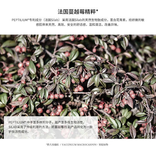 澳洲Malory 进口天然植萃成分 温和洗护 蔓越莓私处清洁泡沫 150ml*3瓶 商品图2