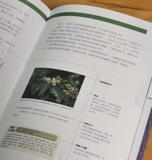 重点推荐！！《诗经植物图鉴》，平装，32开，潘富俊著，九州出版社2025年8月一版一印，616页，定价98元，售价78.4元。 商品图5