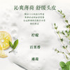 3253581768723 欧舒丹L'OCCITANE 【滋养柔顺】控油蓬松丰盈去屑草本护发素男女士防毛躁250ML 商品缩略图2
