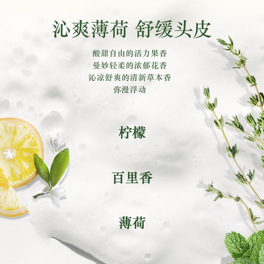 3253581768723 欧舒丹L'OCCITANE 【滋养柔顺】控油蓬松丰盈去屑草本护发素男女士防毛躁250ML 商品图2