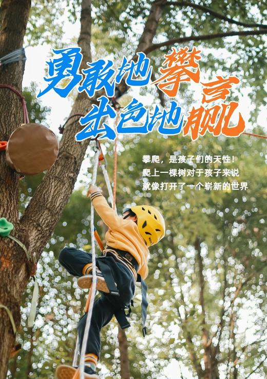 12.20/1.3下午场，凤凰山【周末攀树半日营】岩点，云梯攀树，寻找向上的生命力，开启户外挑战第一课！169元/儿童，家长可陪同（不参与活动），自行前往 商品图0