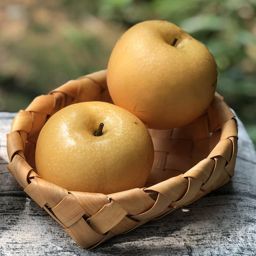 优选|山东秋月梨  脆嫩多汁 圆润饱满  6枚礼盒装 商品图2