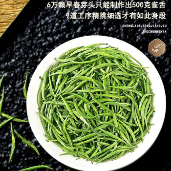 天旭茶叶绿茶雀舌特级四川毛尖2026新茶春茶明前嫩芽高山云雾茶250g /水饮冲调 /茗茶 /绿茶 商品图6