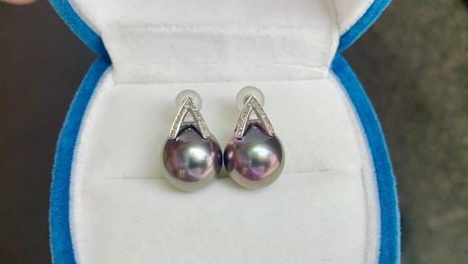 11mm大溪地珍珠耳坠 商品图3