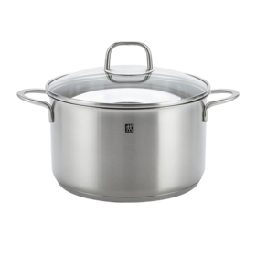 6920762524610 双立人ZWILLING 【炉灶通用】Nova Plus深烧锅蒸锅家用汤锅煮锅汤锅