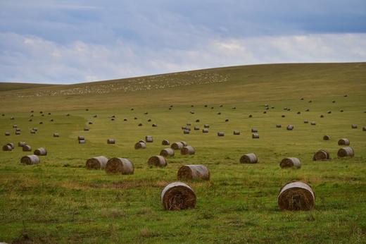 秋色中国-大兴安岭的秋天 商品图3