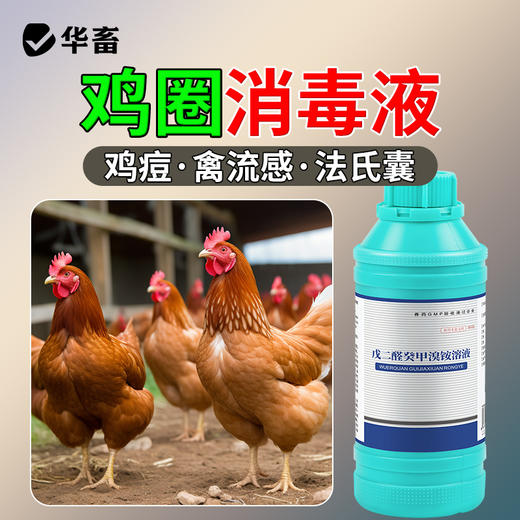 华畜兽药 戊二醛癸甲溴铵溶液 复合型消毒更彻底 协同增效 抗干扰 渗透性强 商品图0