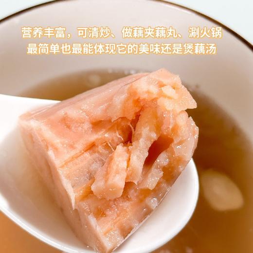 合阳九眼莲藕，2025 秋天的第一碗藕汤”鲜甜粉糯，莲藕营养丰富，口感粉糯，皮薄个大，肉质肥厚，藕香四溢 商品图7