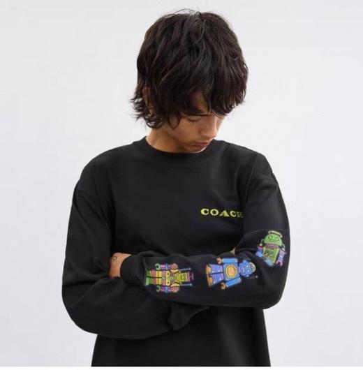 【介绍链接】COACH蔻驰8851CH外星恐龙连帽衫、8828CH经典标志连帽衫、8819Ch马车连帽衫、8816CH爱心刺绣连帽卫衣等卫衣外套合集 商品图7