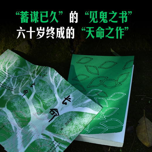 《长命》刘亮程 著 商品图1
