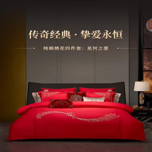 10楼 梦洁 纯棉绣花四件套 吊牌价2999元 活动价1999元 商品图0