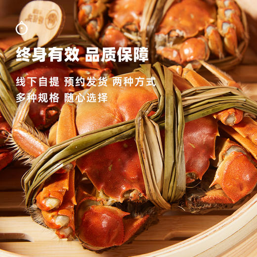 企鹅吃喝x杨桂珍 太湖蟹天然散养大闸蟹蟹卡 礼盒装提货卡金秋礼券*九月底起兑换 商品图5