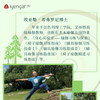 艾扬格 life B1204 师法自然—瑜伽习练与探索  作者:(以)奥哈德·纳克汤米(以)埃亚勒·希弗罗尼 商品缩略图3