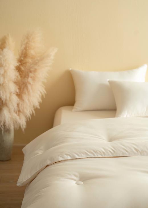 （醇享大豆单被）舒雅生活醇享大豆春夏（4-5斤）秋冬被（7-8斤）  面料，100%聚酯纤维，填充，90%聚酯纤维10%聚乙烯醇纤维（含蛋白）12060025020102/12060024020010 商品图2