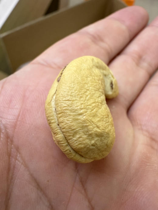 越南虎皮腰果，低卡路里，香味浓郁，爱不释口 商品图1