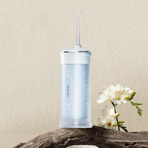 Apiyoo艾优 复古智能冲牙器X11 商品图2