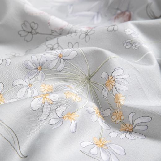 10楼堂皇   全棉印花四件套--莫染   吊牌价1290元    活动价299元 商品图2