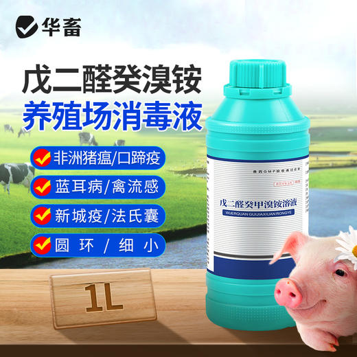 华畜兽药 戊二醛癸甲溴铵溶液 复合型消毒更彻底 协同增效 抗干扰 渗透性强 商品图1