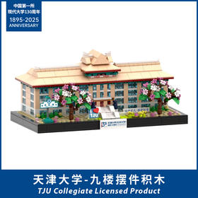 天大地标-第九教学楼积木摆件