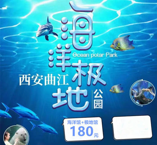【金秋特惠】曲江海洋极地公园成人票（海洋馆+极地馆） 商品图0