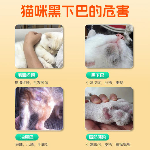 小宠肤可安 皮肤护理 消毒祛味 商品图2