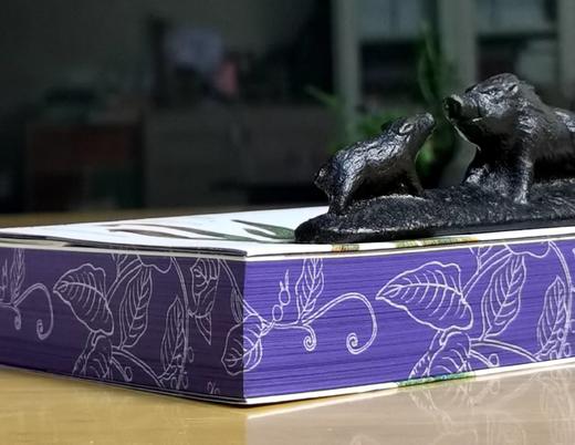 重点推荐！！《诗经植物图鉴》，平装，32开，潘富俊著，九州出版社2025年8月一版一印，616页，定价98元，售价78.4元。 商品图2