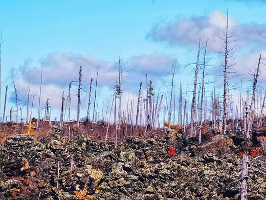 秋色中国-大兴安岭的秋天 商品图5